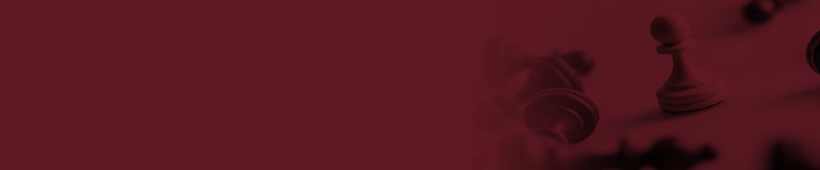 E&L Strategy Banner